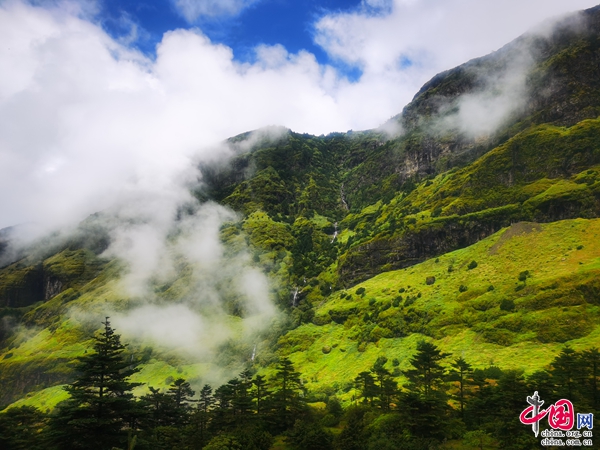 【聚焦COP15】探索生物多样性宝库 走进“滇中第一峰”轿子